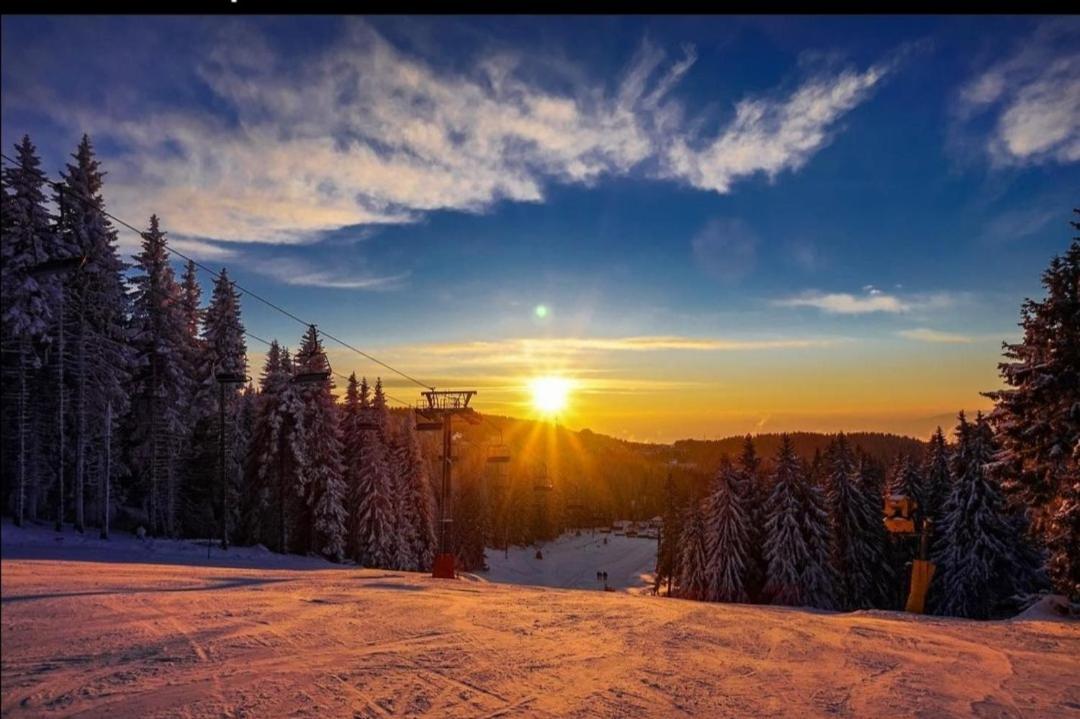 Megi Apartman - Konaci Maglic Kopaonik Exteriér fotografie